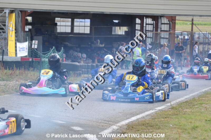 DSC_8336.JPG