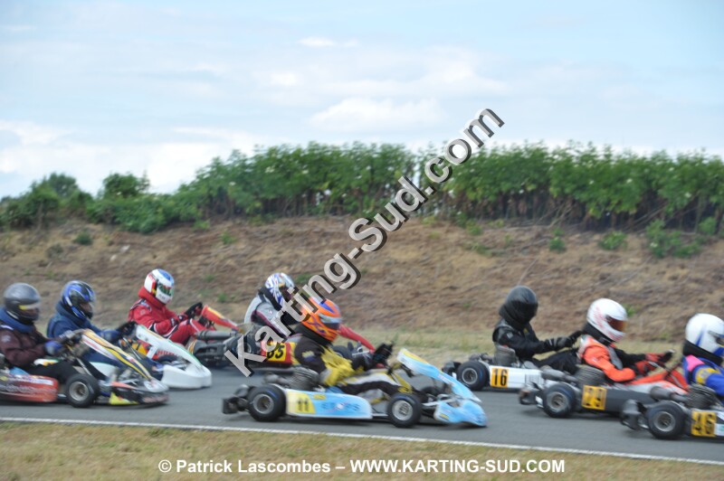 DSC_8370.JPG