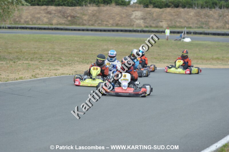 DSC_8377.JPG