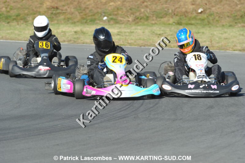 DSC_8582.JPG