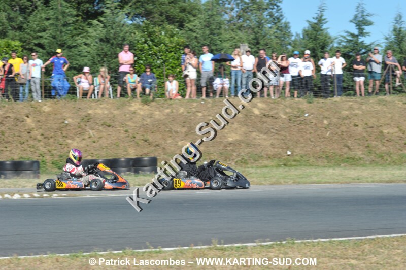 DSC_8597.JPG