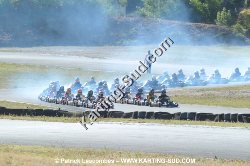 DSC_8600.JPG