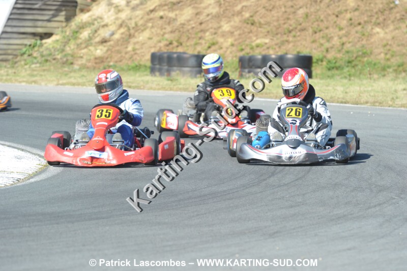 DSC_8631.JPG