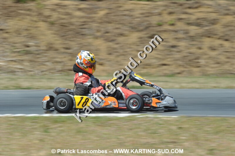 DSC_9131.JPG