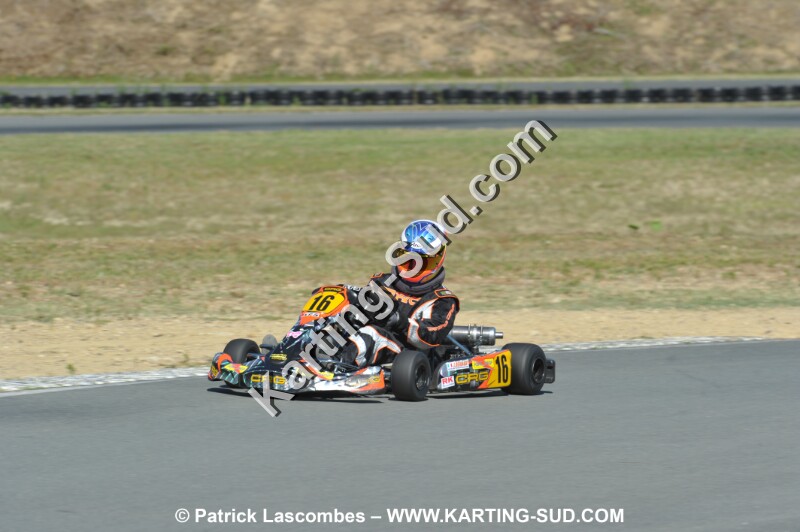 DSC_9884.JPG