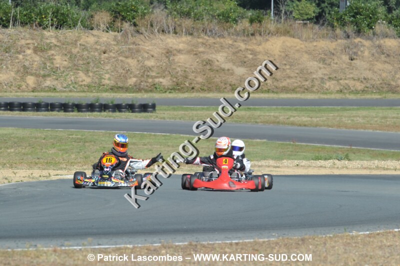 DSC_9988.JPG