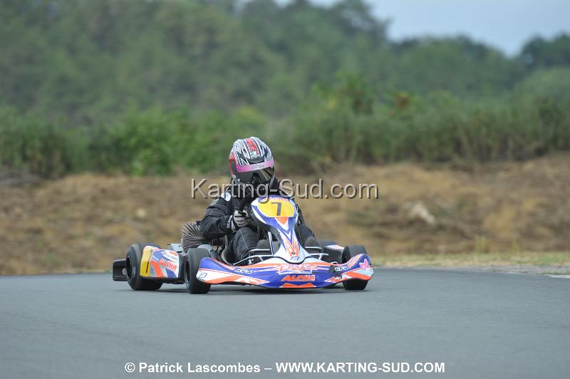 DSC_7797.JPG