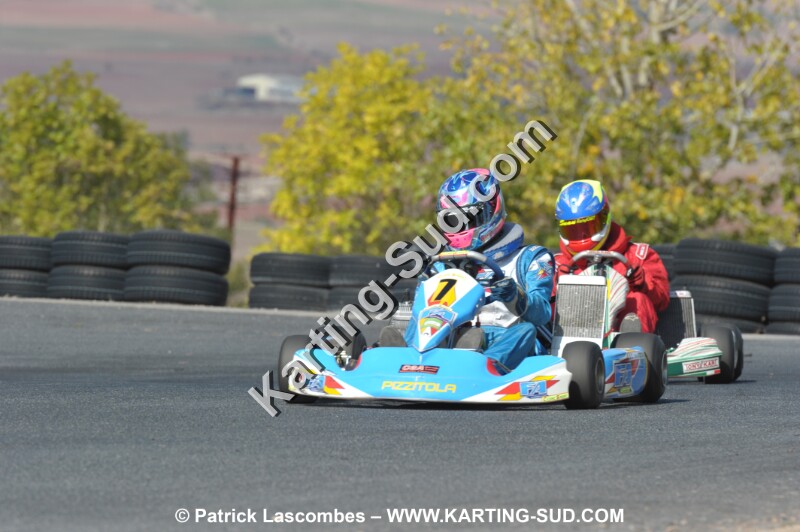 DSC_5950.JPG