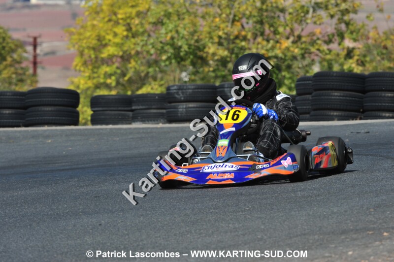 DSC_6463.JPG