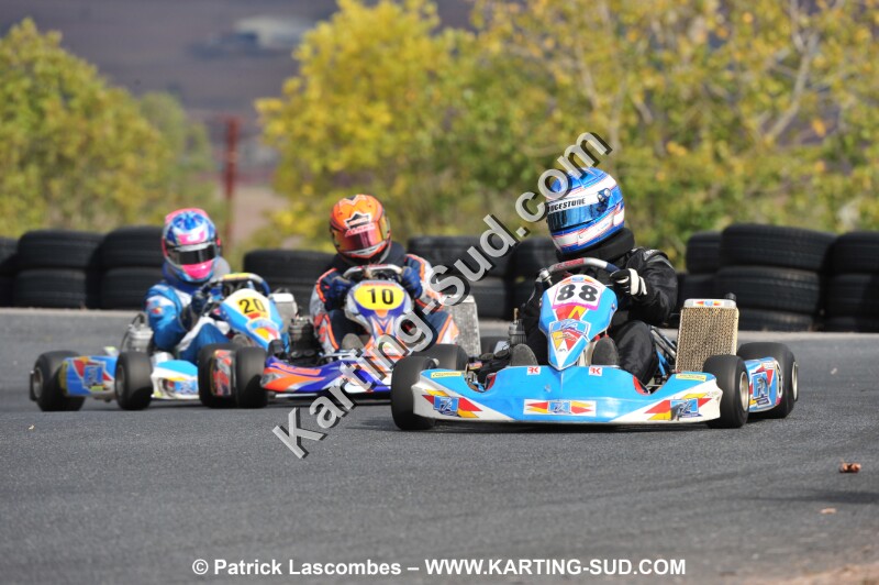 DSC_6553.JPG