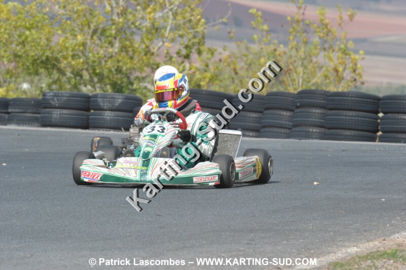 DSC_7177.JPG