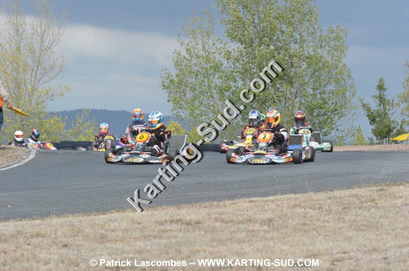 DSC_7336.JPG