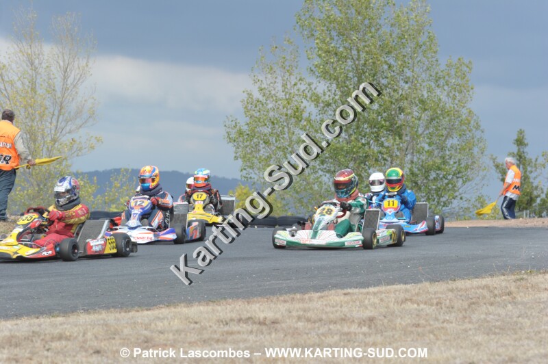 DSC_7337.JPG