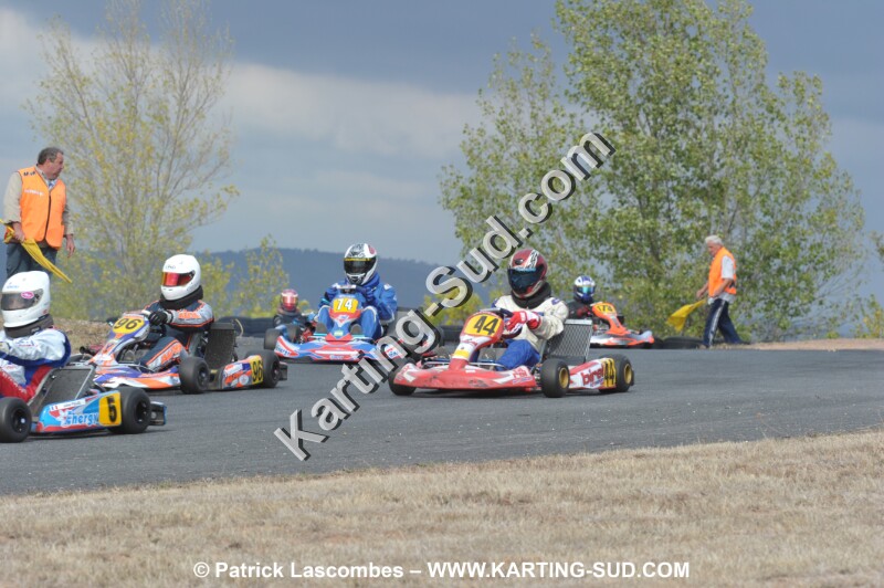 DSC_7339.JPG