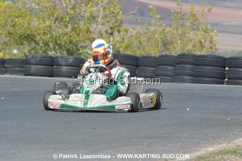 DSC_7177.JPG