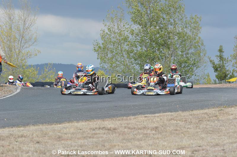 DSC_7336.JPG