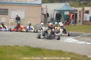 RVB_0885