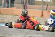 RVB_0894