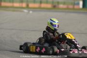 RVB_0978
