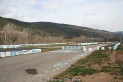 IMG_9580.JPG