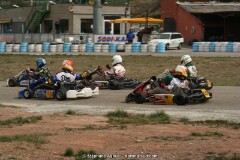 IMG_9731.JPG