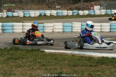 IMG_9775.JPG