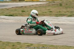 IMG_9858.JPG