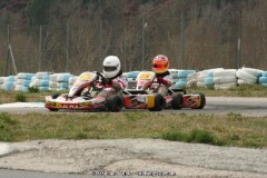 IMG_9903.JPG