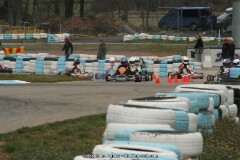 IMG_9929.JPG