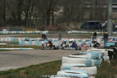 IMG_9930.JPG