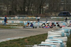 IMG_9931.JPG