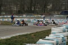IMG_9932.JPG