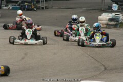 IMG_9947.JPG