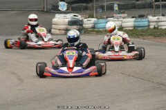 IMG_9955.JPG