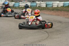 IMG_9956.JPG
