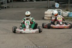 IMG_9988.JPG