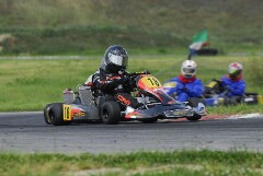 _DSC0111.JPG