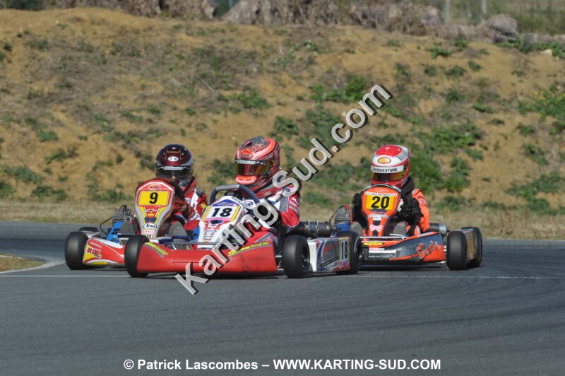 DSC_8931.JPG