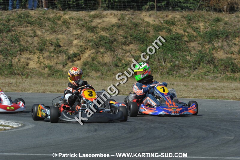 DSC_9313.JPG