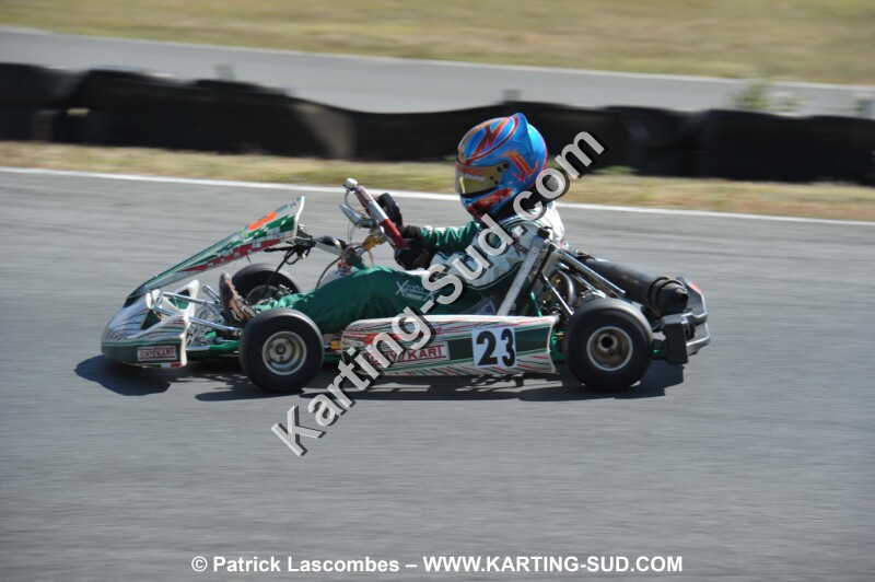 DSC_9517.JPG