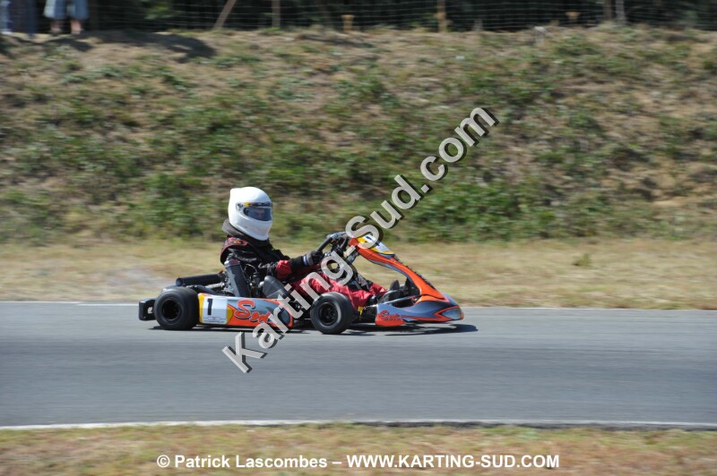 DSC_9555.JPG