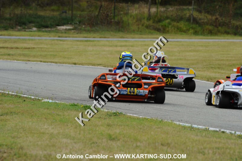DSC_1311.JPG