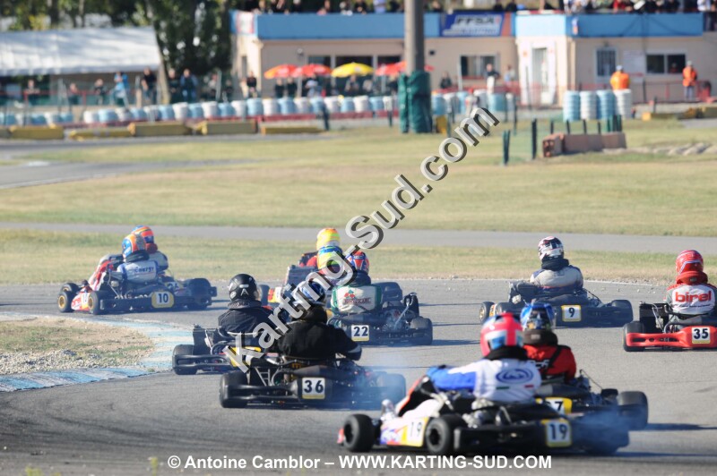 DSC_2217.JPG