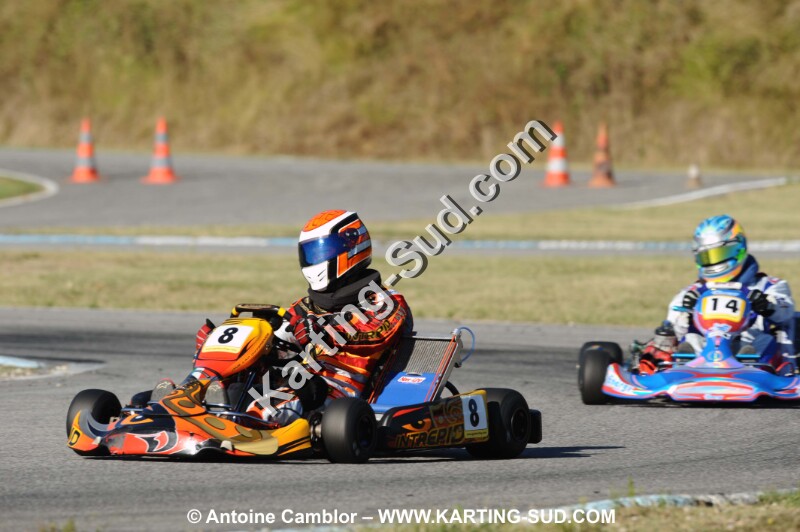 DSC_2246.JPG