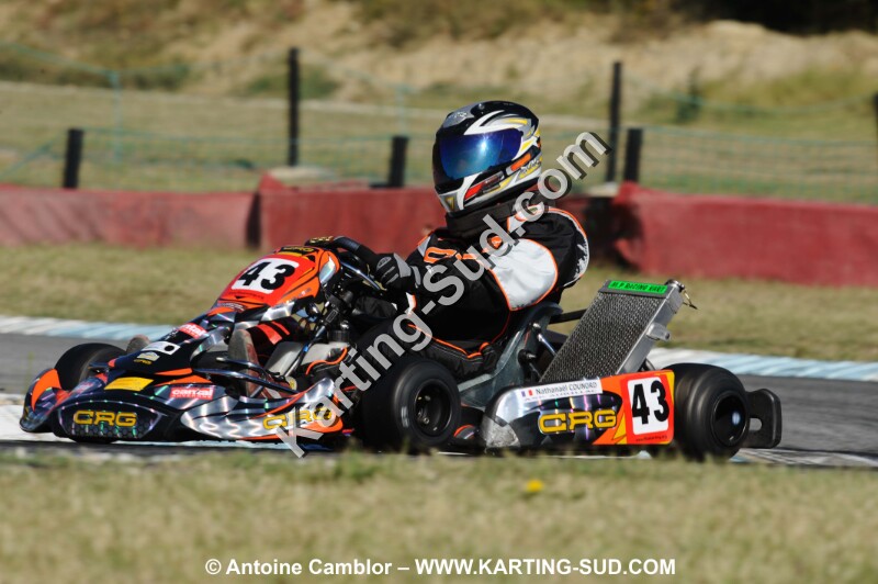 DSC_2429.JPG