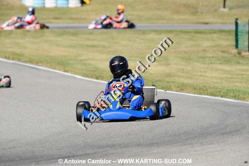 DSC_2995.JPG
