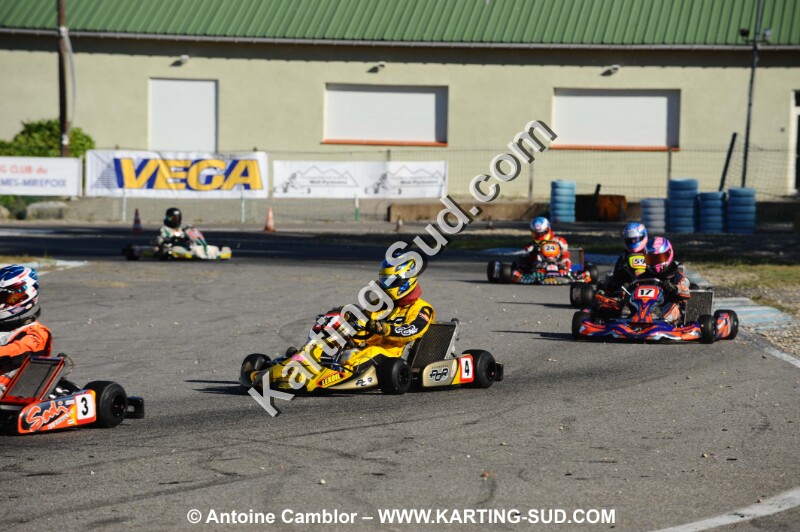 DSC_3461.JPG