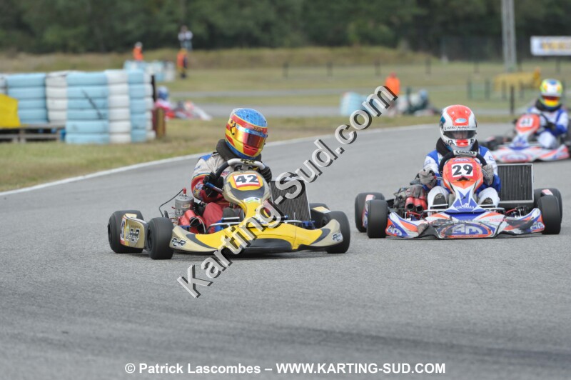 DSC_2019.JPG