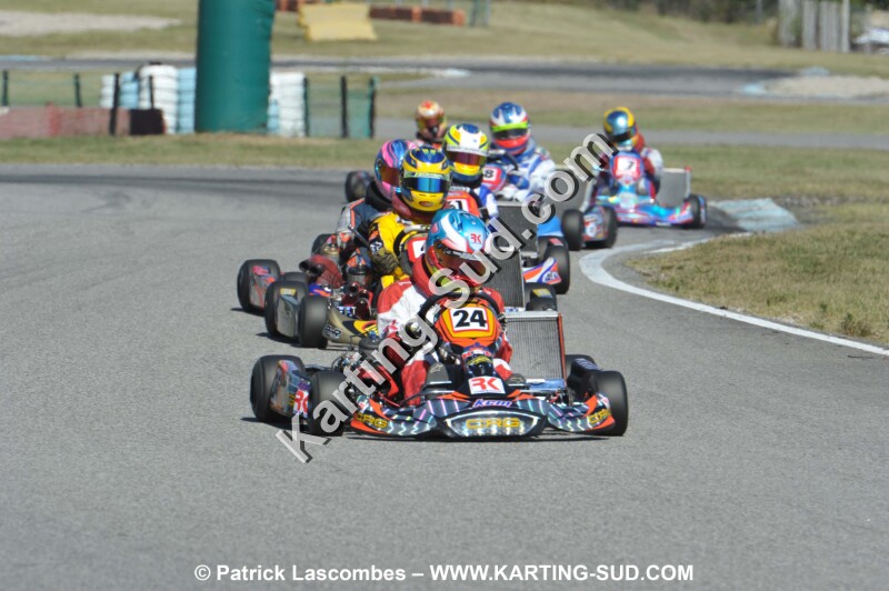 DSC_3517.JPG