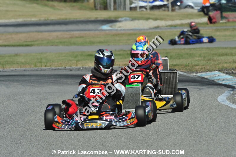 DSC_4544.JPG